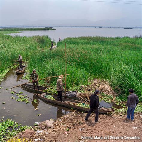 Impactos Biodiversidad Mexicana