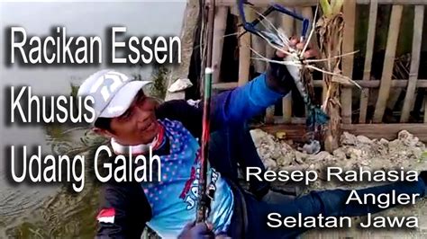 Cara Membuat Essen Mancing Udang Galah Giant Prawns Attractant Youtube