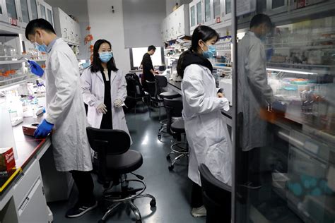 Chinese Scientists Develop Gene Therapy Which Could Delay Ageing