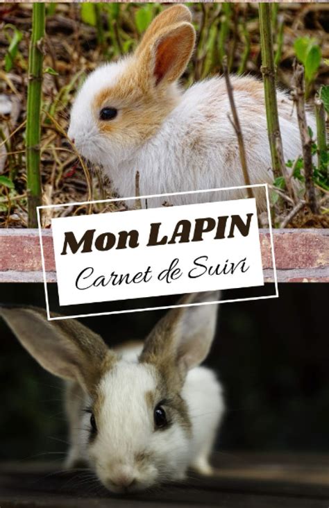 Buy Mon Lapin Carnet De Suivi Carnet De Sant De Suivi De Note