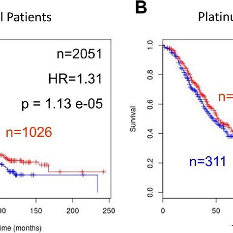 Prognostic Role Of Zeb1 Gene Expression In High Grade Serous Ovarian