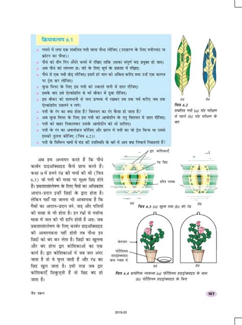 Up Board Book Class 10 Science विज्ञान Chapter 6 जैव प्रक्रम