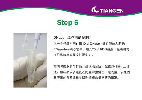 RNAprep Pure 多糖多酚植物总 RNA 提取试剂盒操作指南DP441 丁香实验