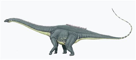 5 Facts About Diplodocus