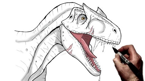 How To Draw A Allosaurus