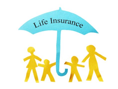 The 3 Essential Types Of Life Insurance Explained MBhealth Insurance