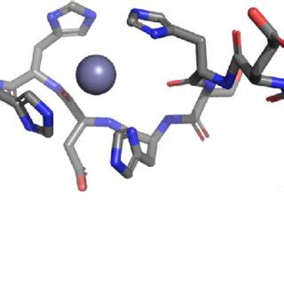 Schematic Model Of The 2N Im 2N Axial N Im Binding Mode For Cu