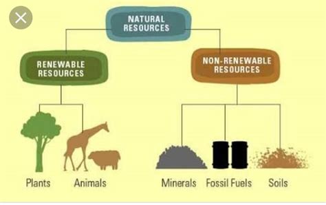 Three Types Of Resource Partitioning