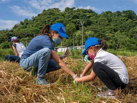 Voluntariado del BCIE realiza jornada de reforestación en el Parque