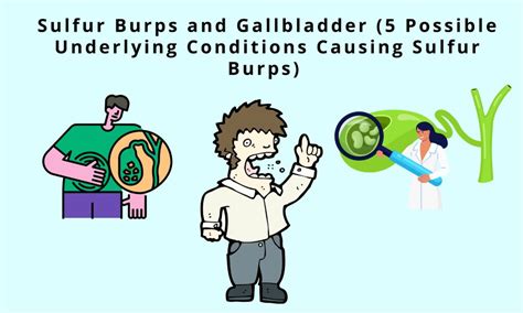 Sulfur Burps And Gallbladder Possible Underlying Conditions Causing