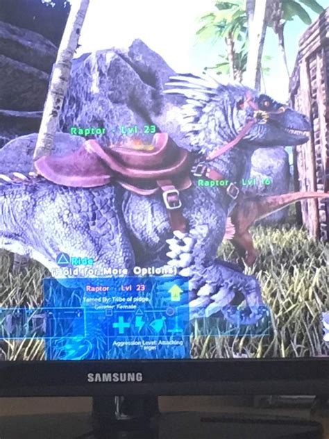 How Do I Do Dis Ark Survival Evolved Amino