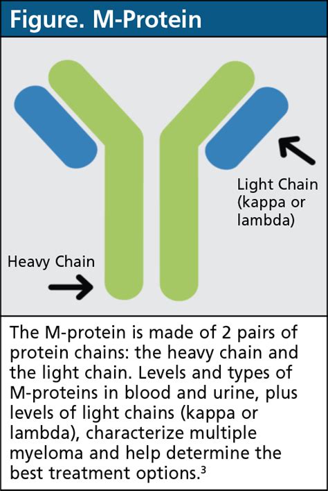 Tisztességtelenség Bíboros Ép stage 3 kappa light chain multiple