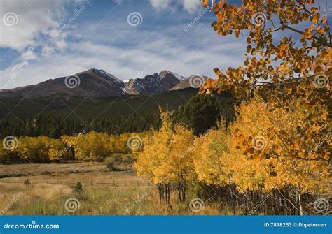 Rocky Mountain Fall stock image. Image of scenic, trees - 7818253