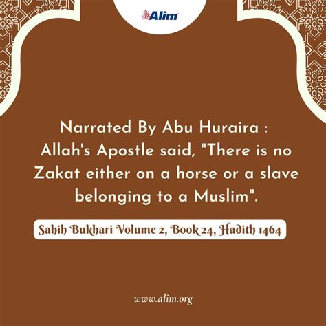 an islamic quote with the caption,'narrated by abuu huria allaah's opposite said there is no ...