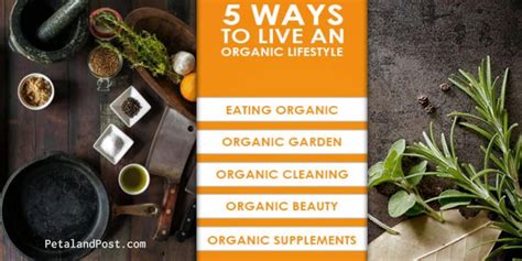 11 Steps To Living An Organic Lifestyle - Petal and Post