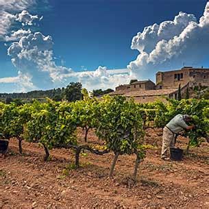 8 Spanish Wineries Make The World’s Most Admired Wine Brands List for 2021