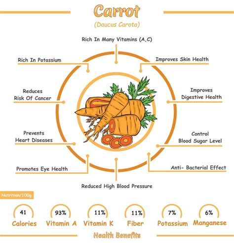 Health benefits of a carrot 18892187 Vector Art at Vecteezy