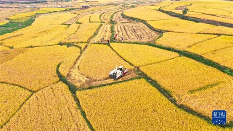 牢牢守住糧食安全底線，全國秋糧已收穫過八成 幫趣