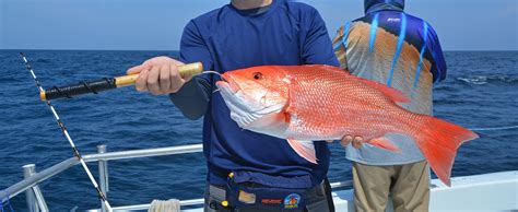 Snipped Red Snapper Season Unlikely For Floridas Atlantic Coast Anglers