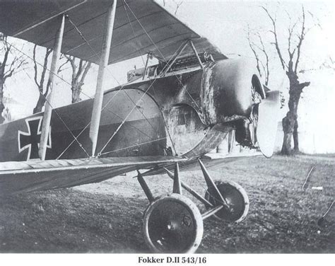 Fokker D Ii Ww Aircraft Air Force Aircraft World War One First