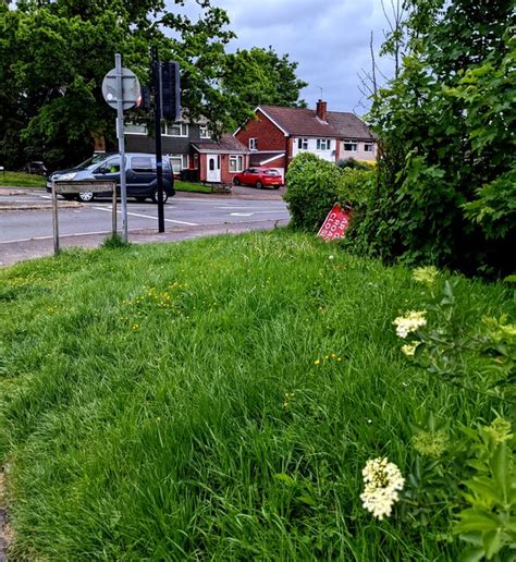 Unmown Grassy Corner Malpas Newport Jaggery Cc By Sa