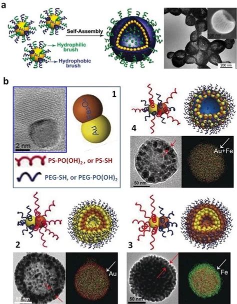 复旦大学聂志鸿教授和康涅狄格大学何杰教授chem Soc Rev ：聚合物引导的无机纳米粒子组装 表面