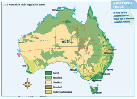 Vegetation Patterns Selling Nsw