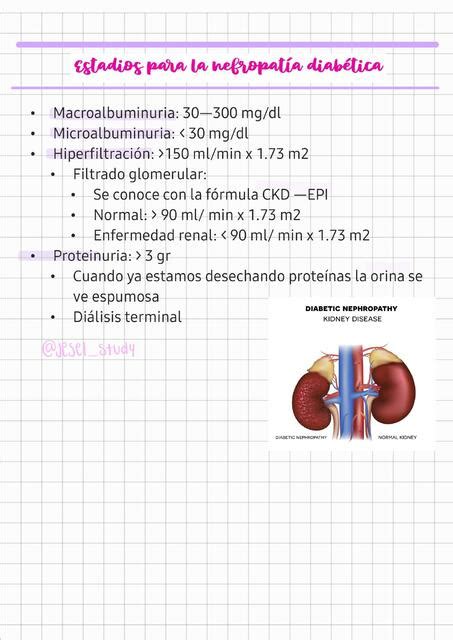 Estadios para la nefropatía diabética Jazmin Salgado uDocz