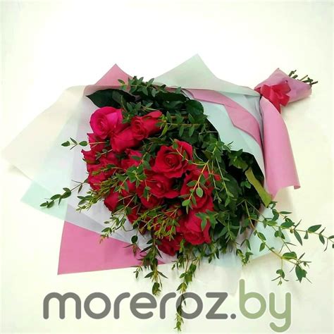 Роза гоча эквадор (78 фото)