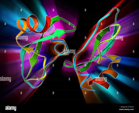 Amyloid precursor protein. Molecular model showing the structure of ...