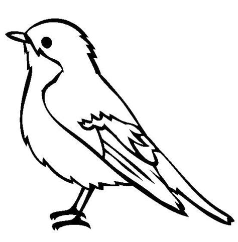 Coloriage Oiseau Tr S Facile T L Charger Et Imprimer Gratuit Sur