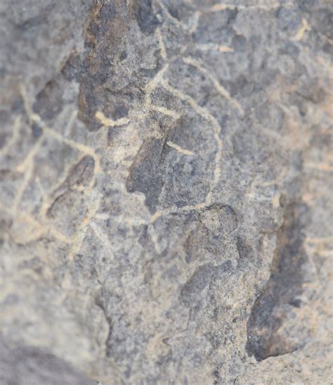 DSC 4326 Ancient Quartz Based Pictograph Drawing On Stone Flickr