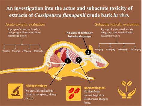 An Investigation Into The Acute And Subacute Toxicity Of Extracts Of