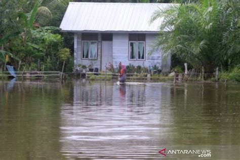 Puluhan Rumah Di Aceh Tenggara Terendam Banjir Akibat Luapan Sungai