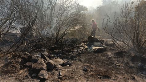 Incendi In Fumo Quasi Ettari Nel Tarantino