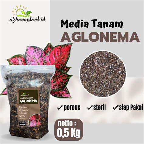 Jual Media Tanam Aglonema Kemasan 0 5 Kg Shopee Indonesia