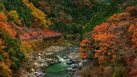 Wallpaper Trees Landscape Colorful Forest Fall Leaves Rock Nature Reflection Stones