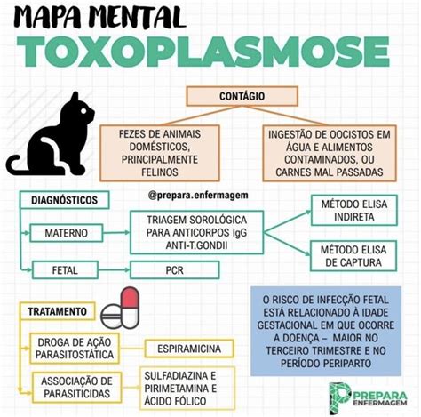 Pin De Gabriela Lavelli Em Dicas De Estudo Parasitologia Medicina