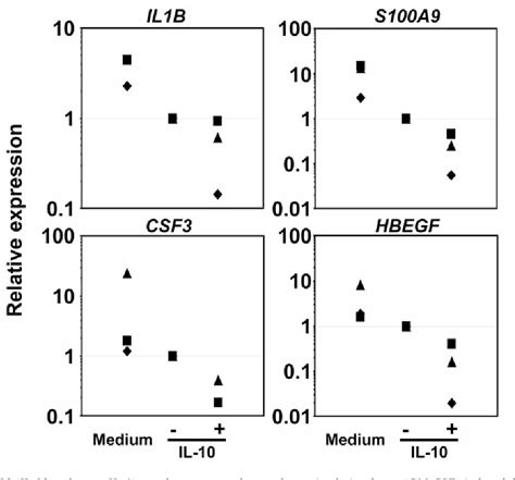 Figure 2 from Impact of interleukin-10 on phenotype and gene expression ...