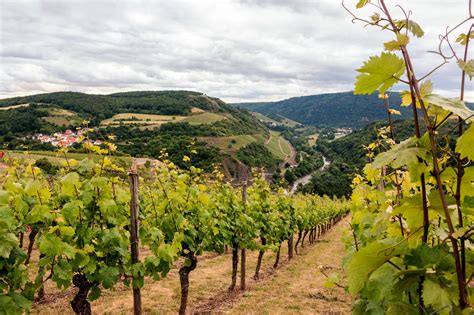 Nahetal Michel Wein Weingut Michel Bad Sobernheim Nahe