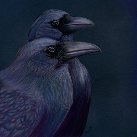 Ravens