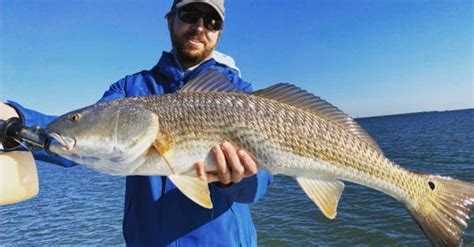 How To Catch More Redfish In All Seasons