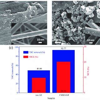 SEM Images Of A The Unmodified Graphite Felt Raw GF Cathode B