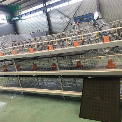 Poultry Farm Equipment Hot Dip Galvanized H Type Tiers Broiler Cage