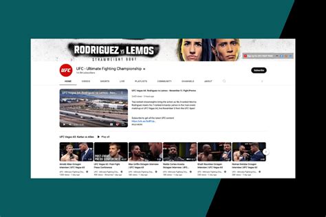 Stream UFC Free: Best UFC Streaming Sites - VPN Reactor