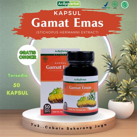 Jual Kapsul Gamat Emas Original Ekstrak Teripang Emas Asli Aman