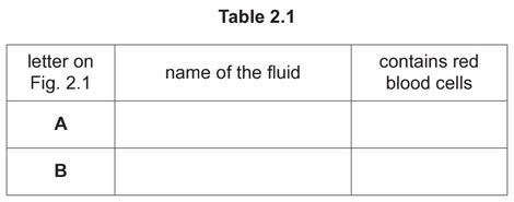 iGCSE Biology (0610)-9.4 Blood - iGCSE Style Questions Paper 4