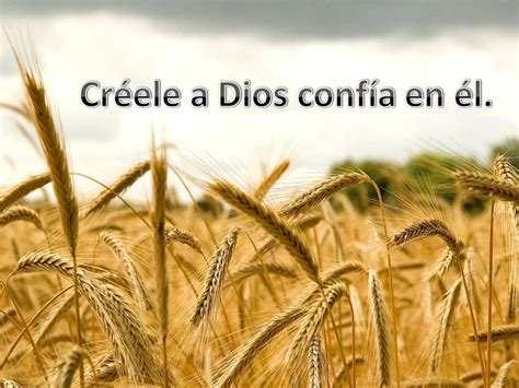 Creer En Dios Y Creer A Dios El Versículo Del Día