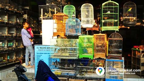 Kios Burung Terdekat Pakan Burung Jual Aneka Burung Kicau