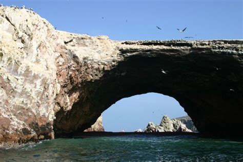 Photo Essay Visiting The Ballestas Islands In Peru